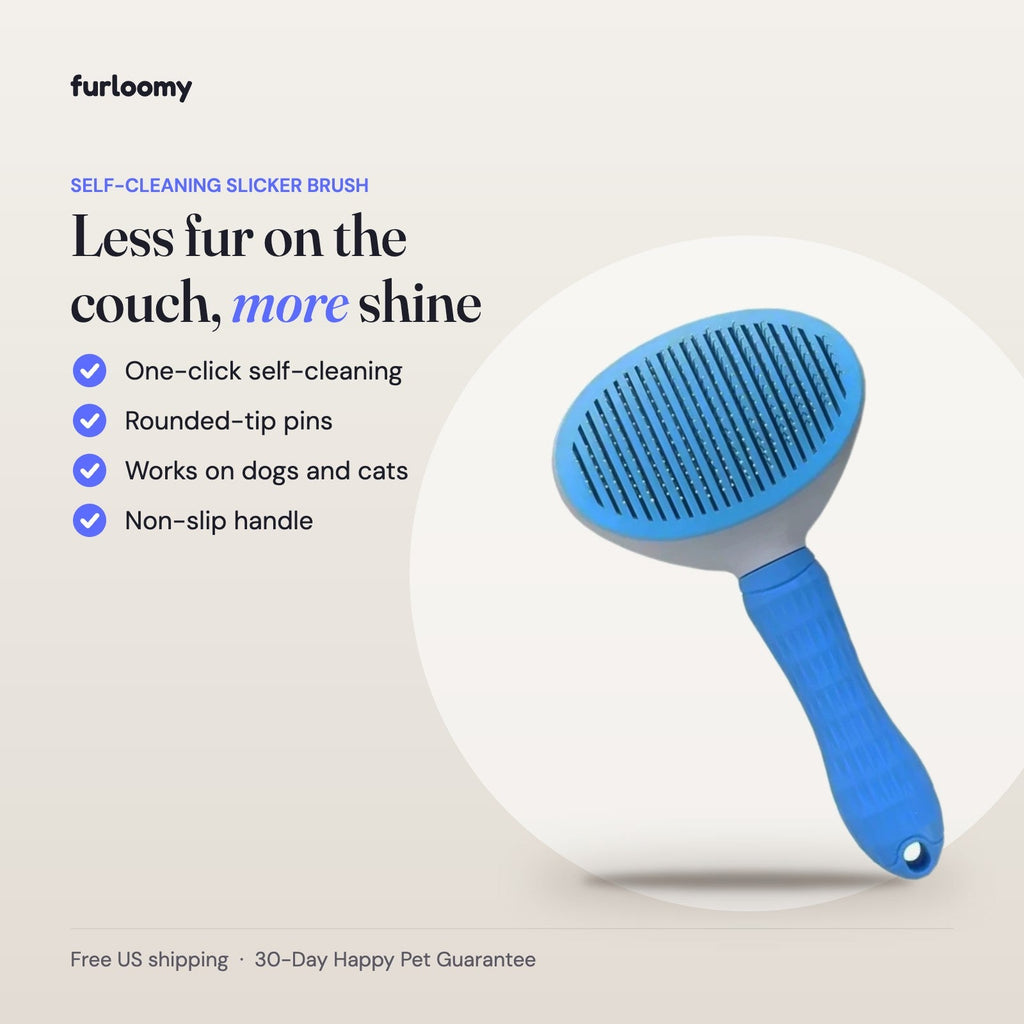 Self-Cleaning Slicker Brush key benefits